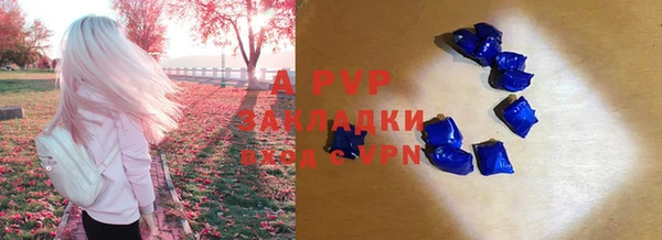 стафф Покачи