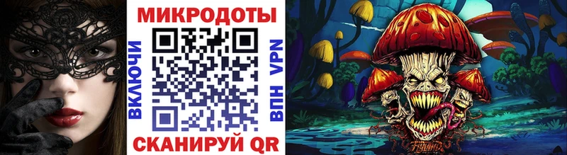 kraken   Меленки  Псилоцибиновые грибы мицелий 